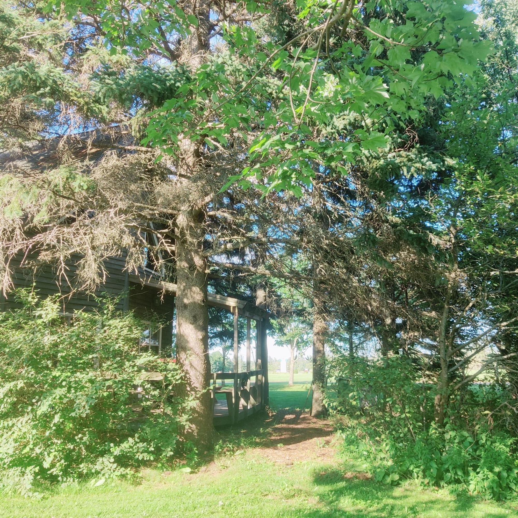 Avonlea Forest Hill Cottages New Glasgow Екстер'єр фото