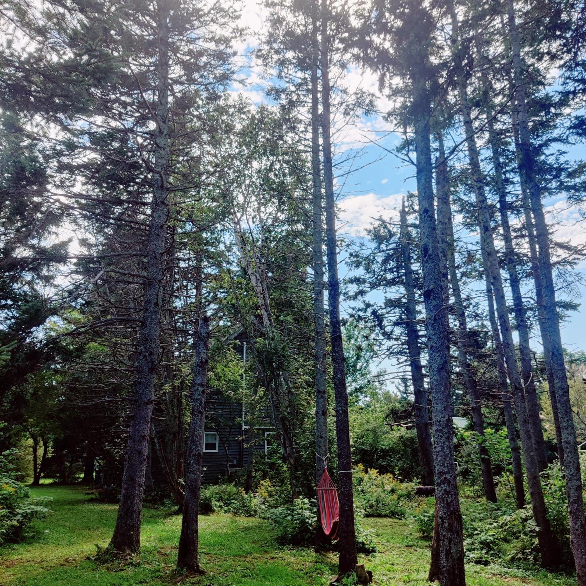 Avonlea Forest Hill Cottages New Glasgow Екстер'єр фото