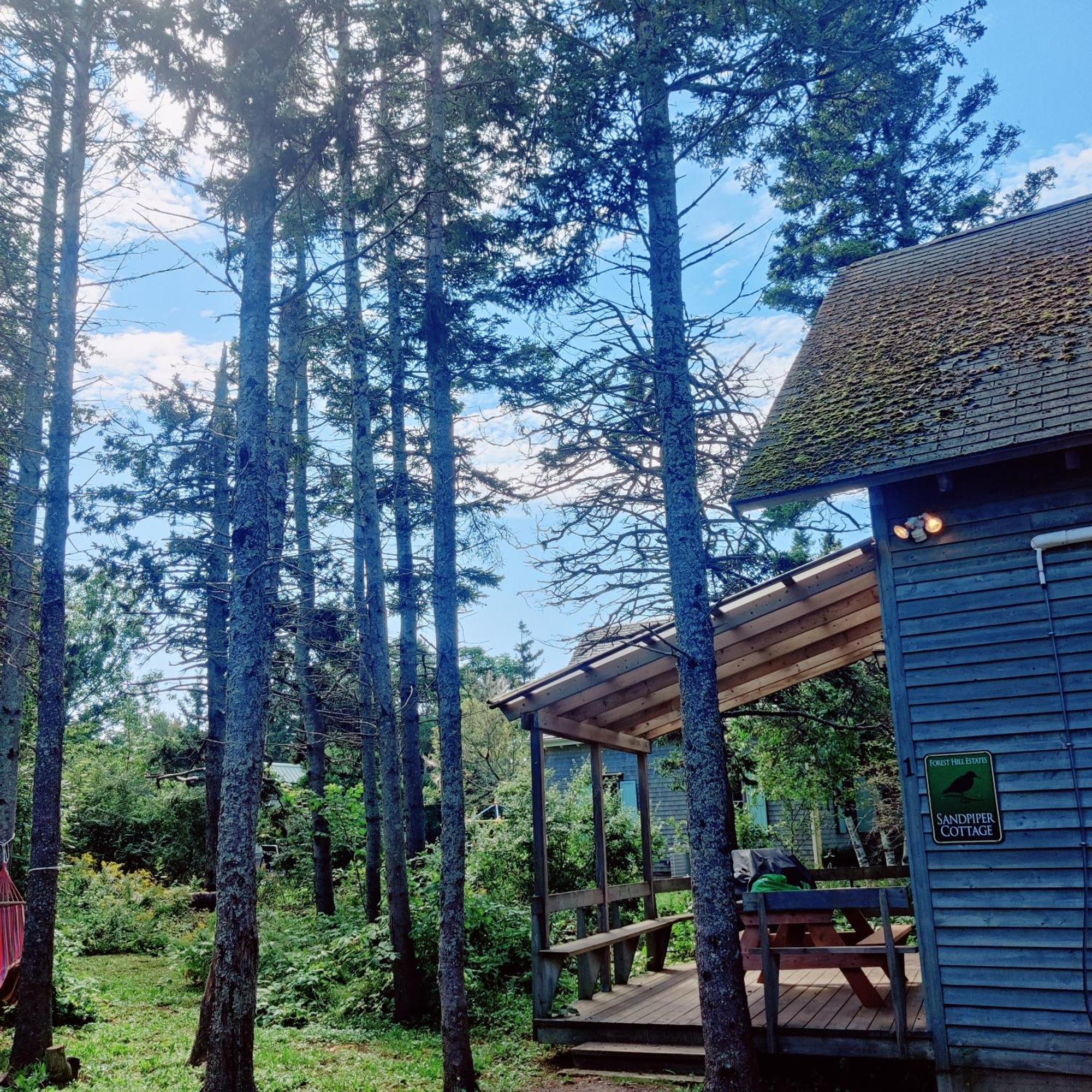 Avonlea Forest Hill Cottages New Glasgow Екстер'єр фото
